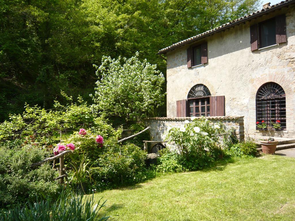 Il Molinaccio Al Rio Chiaro Villa Civitella d'Agliano Exterior photo